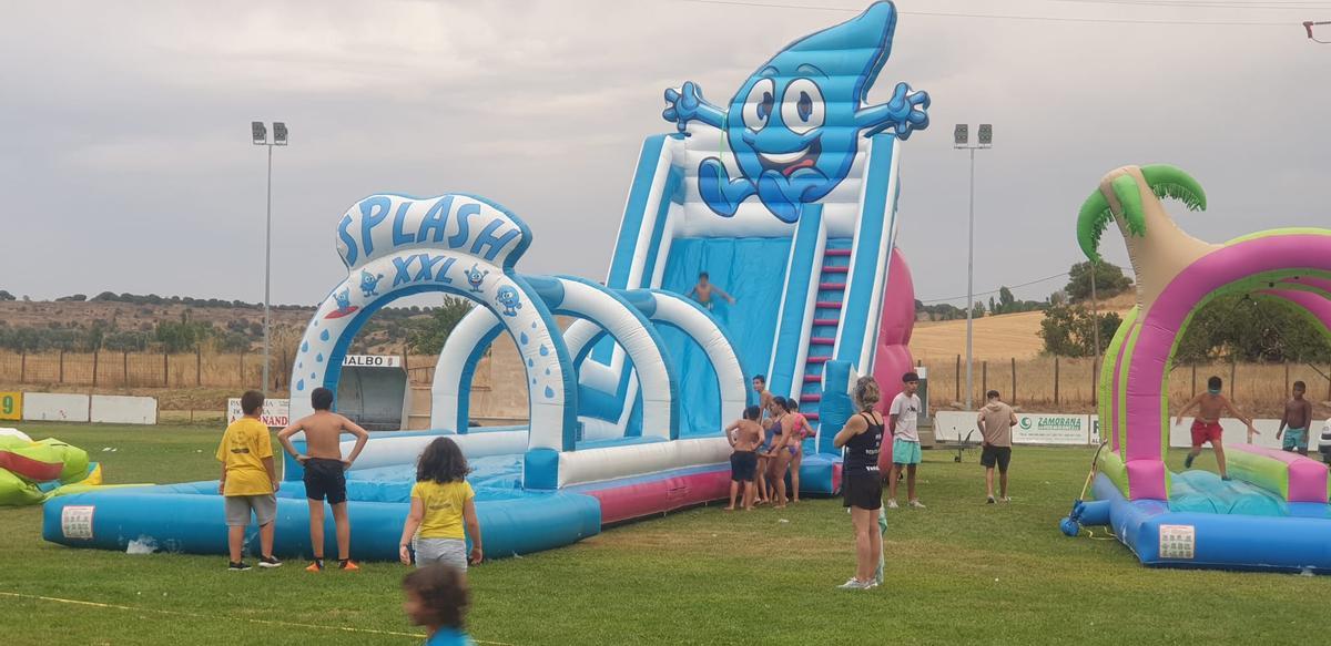 GALERÍA | Venialbo se viste de fiesta para celebrar a San Roque GALERÍA | Venialbo se viste de fiesta para celebrar a San Roque