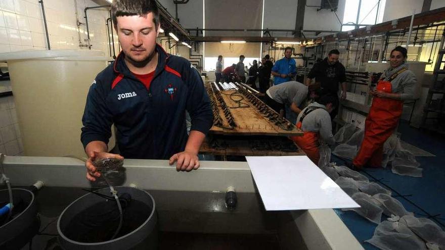 Instalaciones del Igafa durante una actividad formativa de cría de peces. // Iñaki Abella