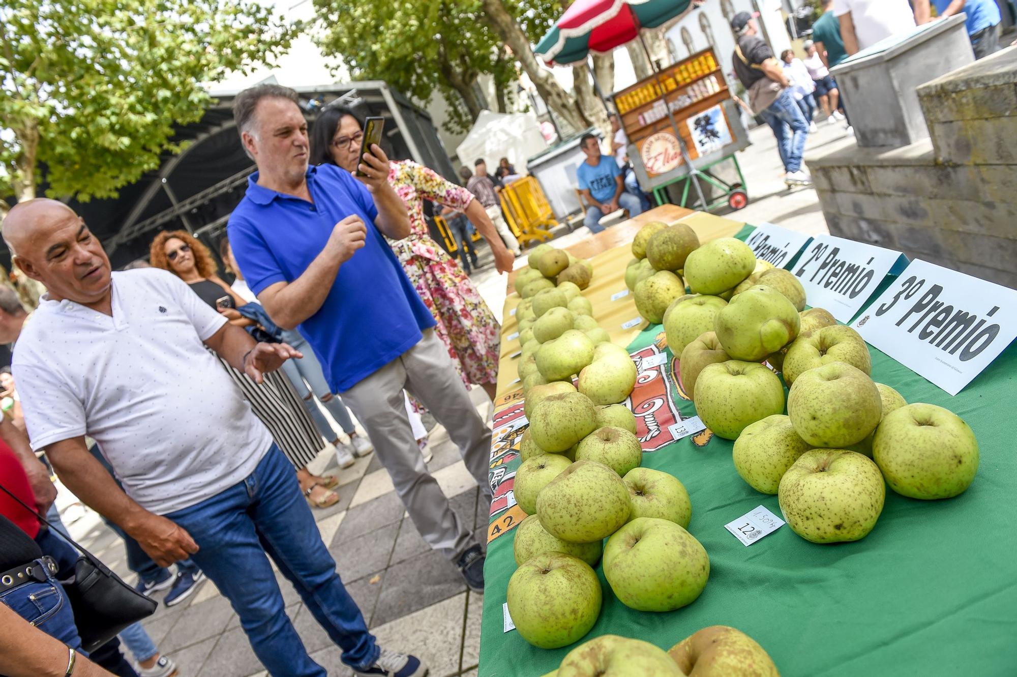 Fiestas De La Manzana De Valleseco La Provincia