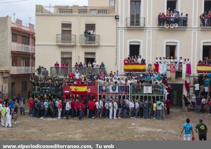 GALERÍA DE FOTOS -- Almassora se vuelca con las fiestas del Roser