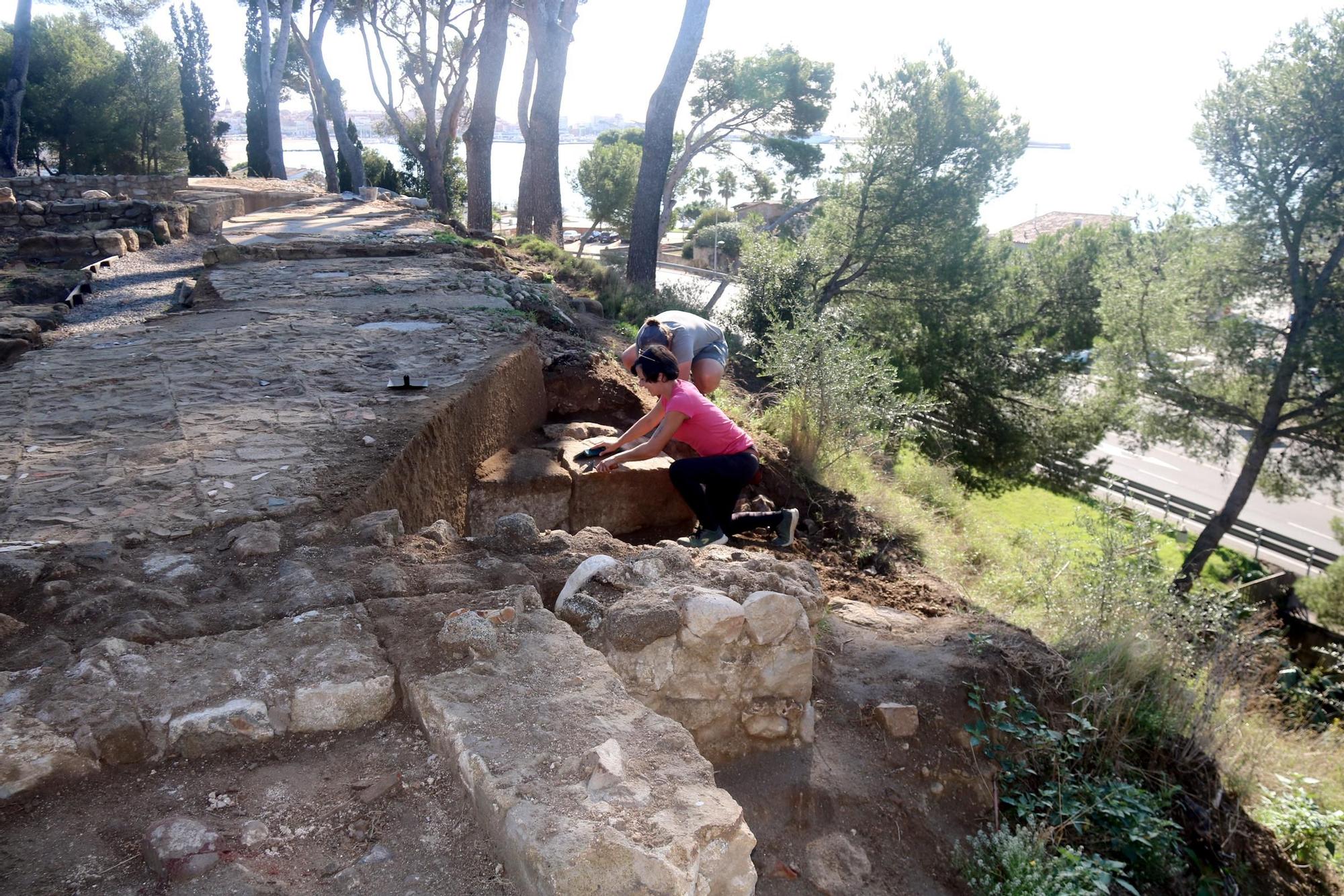 Plans D'abri De Jardin Moderne Luxe 10x20 Pieds - Plan #D1020M + Liste De Matériaux Offerte | DIY Construction