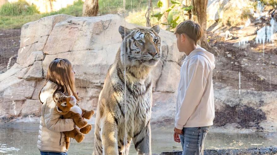 Terra Natura Benidorm crea un pase de invierno que ofrece acceso ilimitado hasta el 28 de febrero