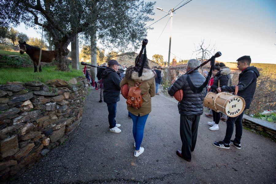 Elaboración de aceite en el molino de Latedo