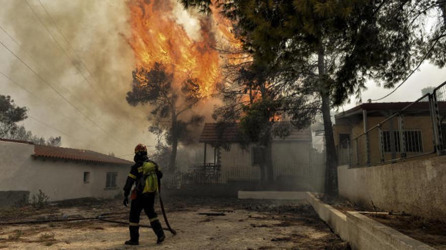 Al menos 50 muertos por los incendios en Grecia