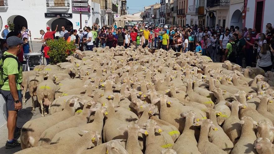 Semana de la Torta del Casar: catas, rutas y conciertos