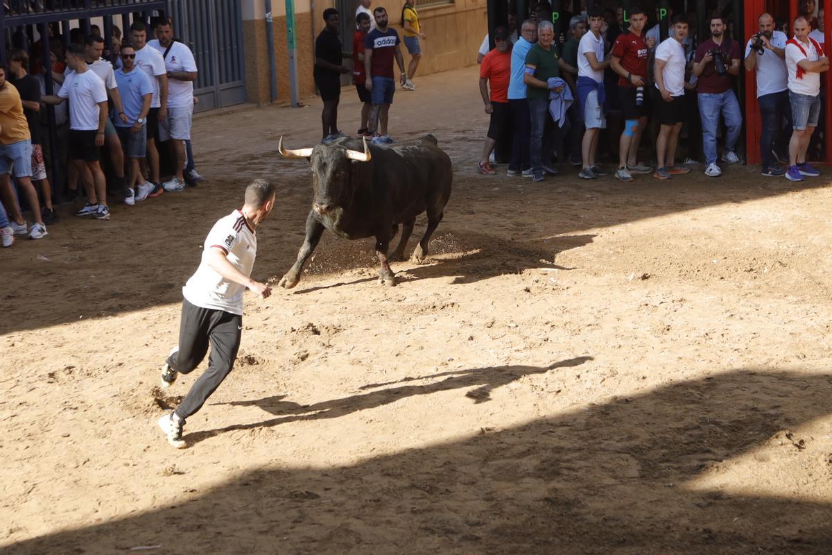 Tarde de toros en Almassora.