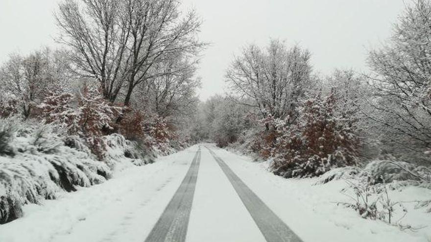 Una carretera de la red provincial en Sanabria, cubierta de nieve.