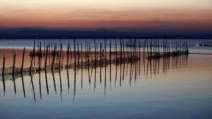 La Fiscalía investiga el &quot;alarmante&quot; descenso de los niveles de agua en la Albufera de Valencia