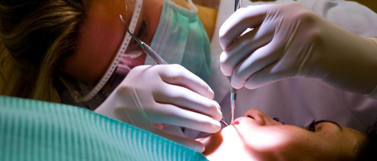 Los dentistas se oponen a la implantación de la carrera de Odontología en  la provincia - Información