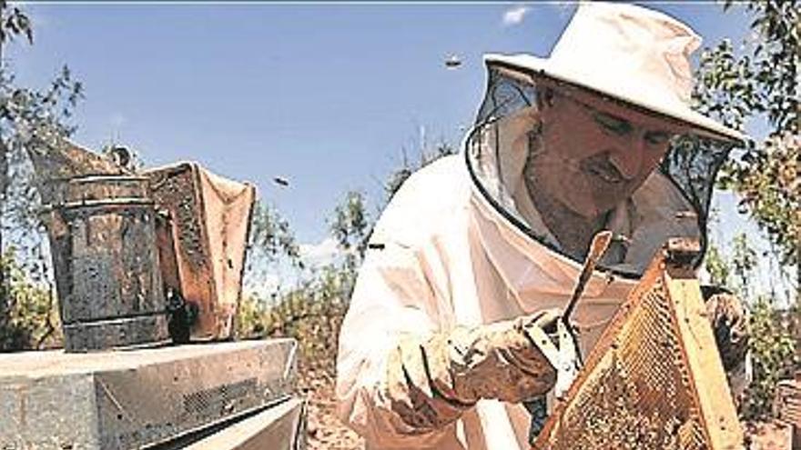 Val de Xálima, ejemplo de respecto al entorno