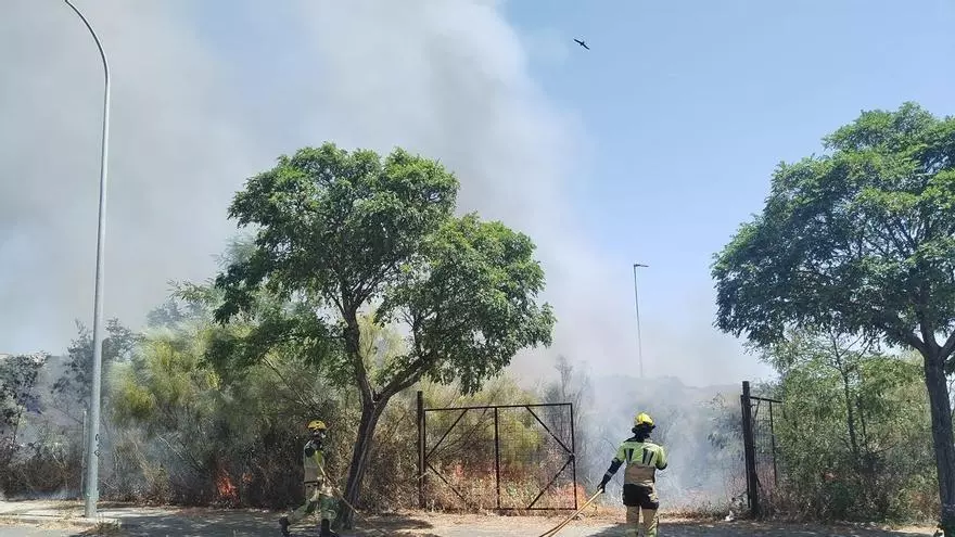 Video | Efectivos extinguen el incendio de La Mazuela, en Plasencia
