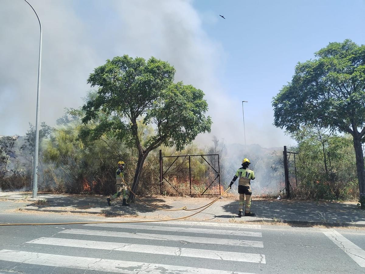 Fotogalería | Incendio de pastos en Plasencia