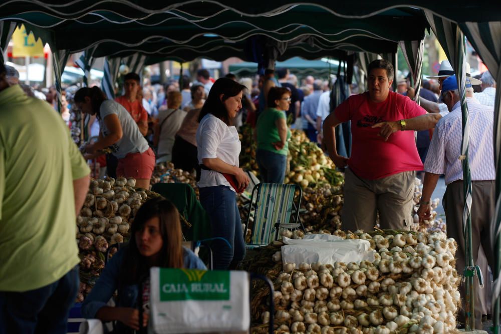 San Pedro 2016: Feria del Ajo