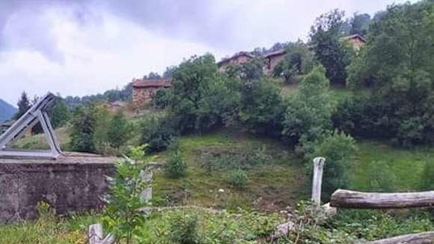 Una oveja muerta tras ser atacada por los lobos muy cerca de las casas de la localidad casina de Orlé, este verano.