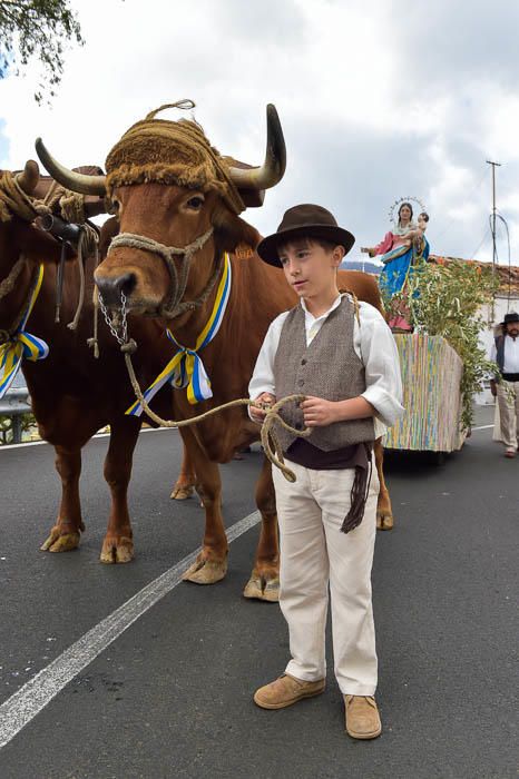 Romería de Los Labradores