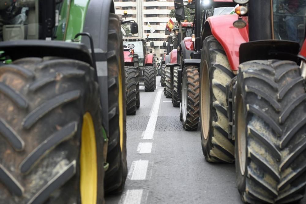 Así ha sido la manifestación de los agricultores en Murcia (II)