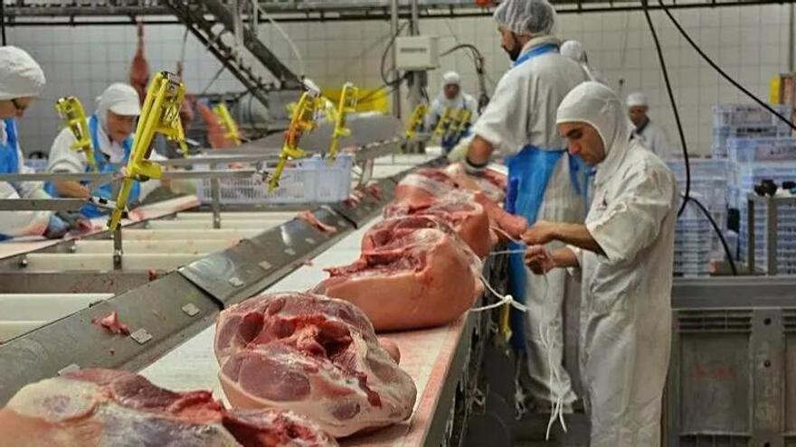 CGT i UGT denuncien un ERTO al sector carni del Bages per la pesta porcina