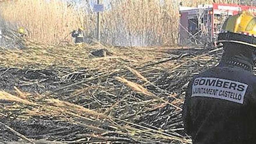 Desalojan una familia por el fuego en un cañaveral en el Camí Serradal