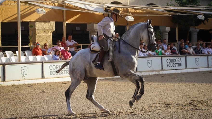 Las Caballerizas Reales de Córdoba acogen la 8ª Copa de Espa