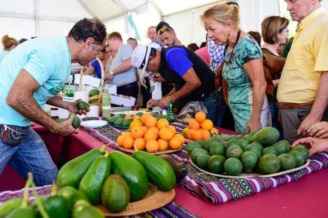 II Feria del Aguacate en Arguineguín