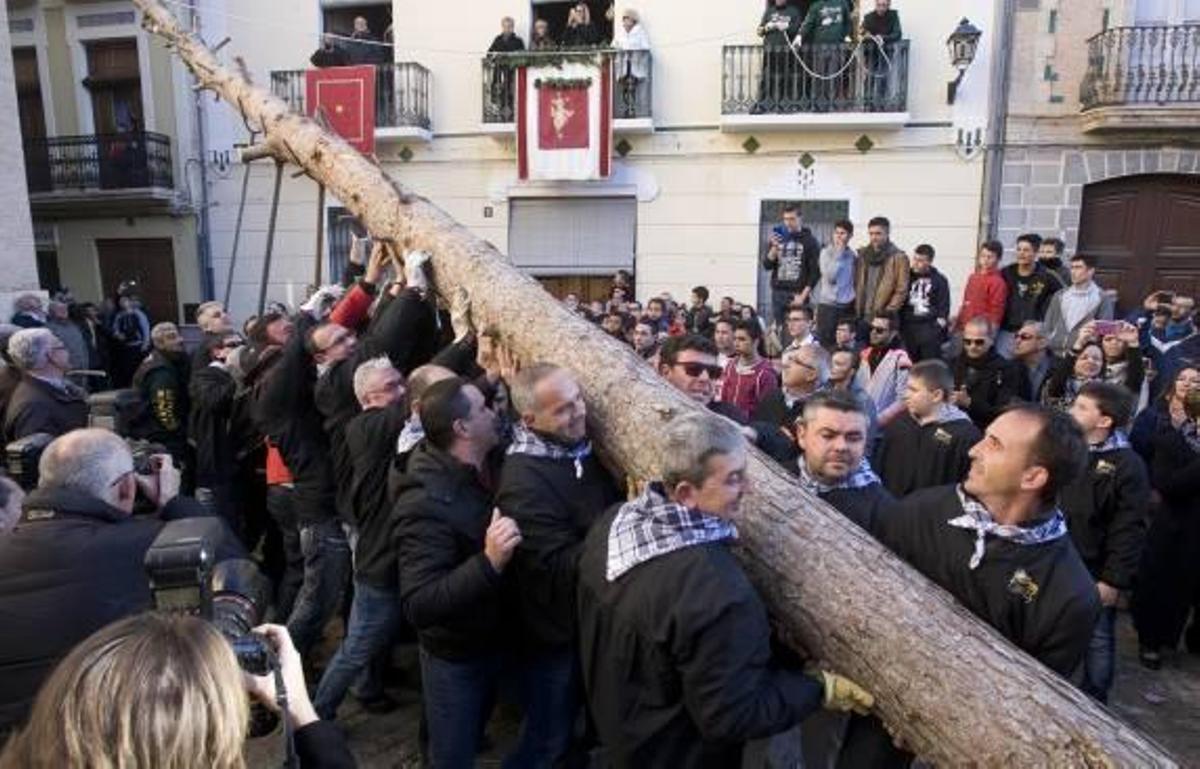 Canals disfruta con la Plantà del Primer Pi de la Foguera de Sant Antoni de 2015