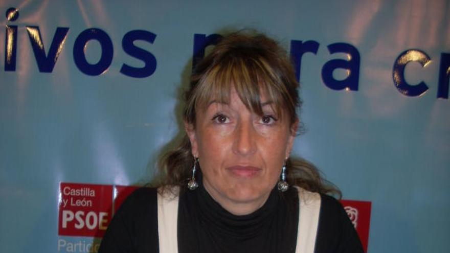 Rosa Muñoz Santarén, portavoz del PSOE en la Diputación.