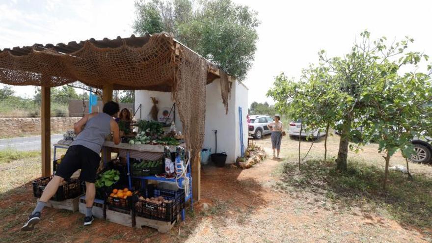  La finca ecosostenible de Can Gusti de Baix es una de las dos explotaciones agrícolas asociadas a la cooperativa que cuenta con un punto de venta directo de sus productos.