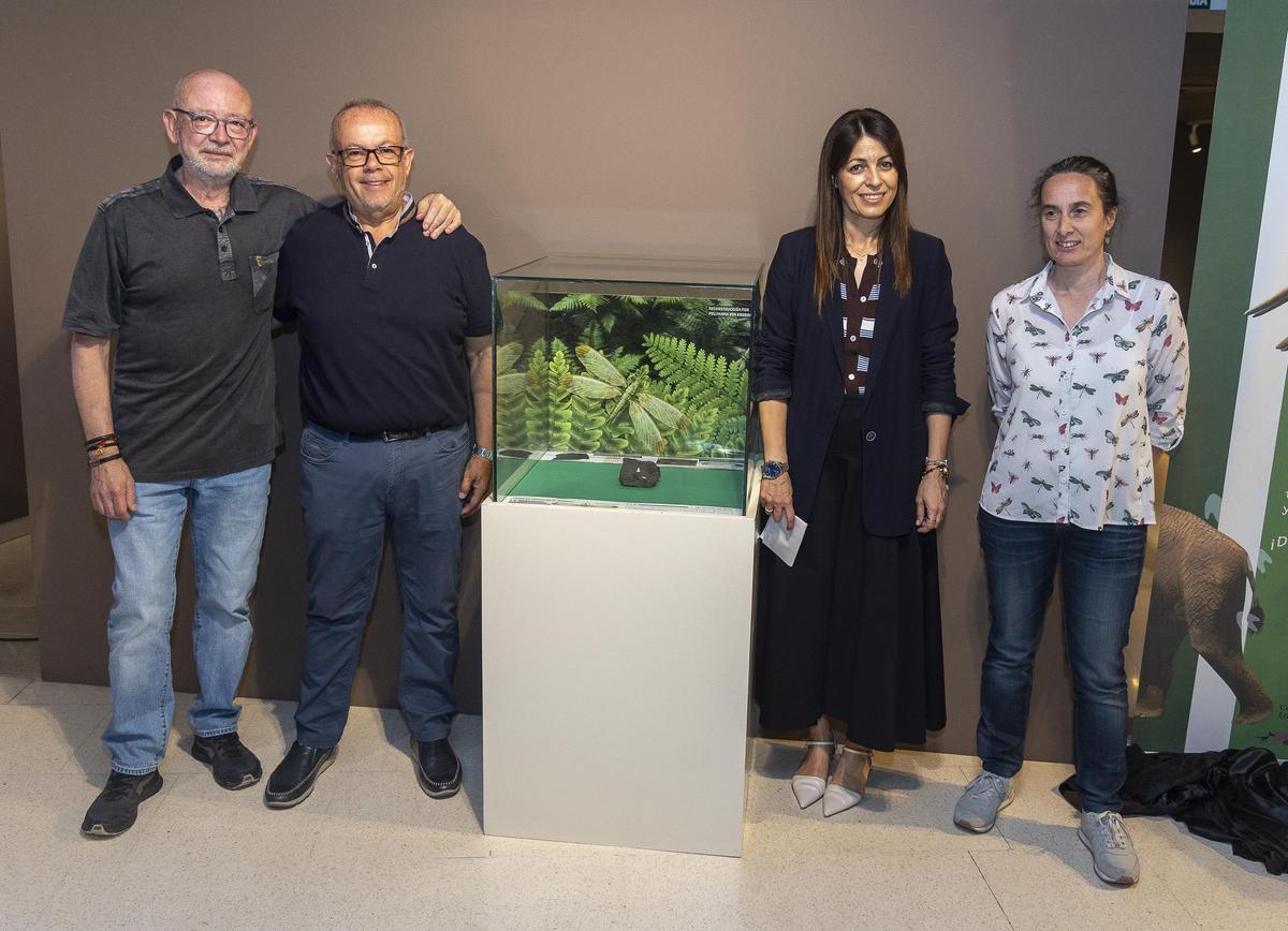 La nueva pieza del Museo Paleontológico de Elche es una donación de José Luis Garrido
