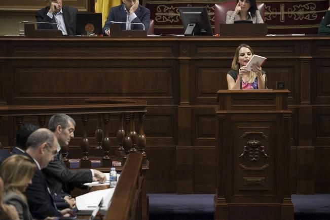 19/01/2017.CANARIAS.Pleno del Parlamento de Canarias..Fotos: Carsten W. Lauritsen