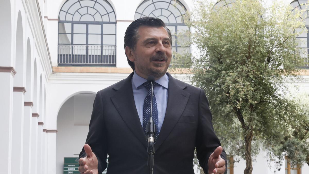 VÍDEO | Toni Martín: "La intención es que no se pare el Parlamento ni los pasos que hay que ir dando"