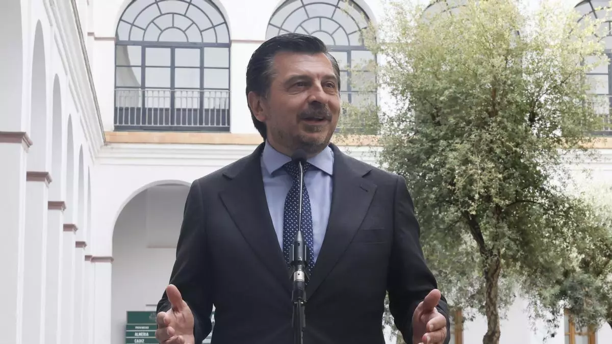 Juanma Moreno urge a convocar de forma inmediata el pleno de investidura sin aclarar si Vox entrará en el Gobierno andaluz: "Debe ser lo antes posible"