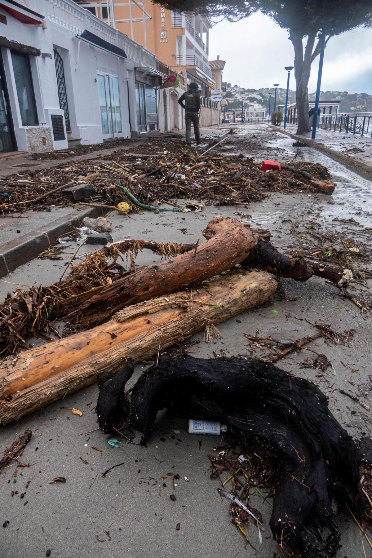 La borrasca Bella provoca grandes destrozos en el Port d'Andratx