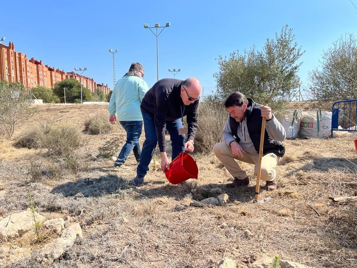 El alcalde, plantando un árbol el domingo pasado en San Gabriel.