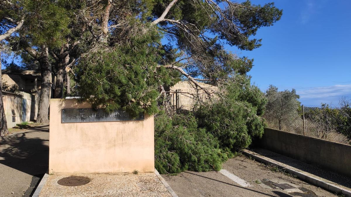 Los estragos de 'Hortense' en Mallorca