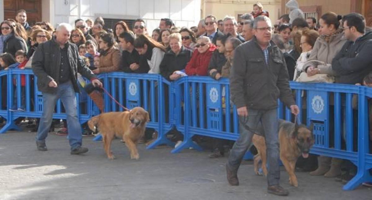 Sant Antoni llenó en Canet