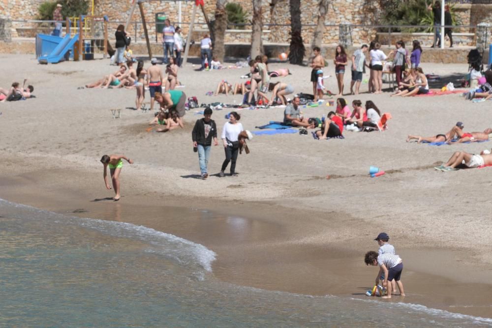 Día de la Mona en Cartagena