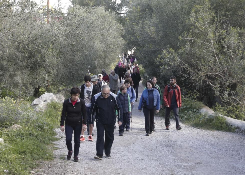 Excursión reivindicativa para exigir la protección en Palma de Son Puigdorfila Nou