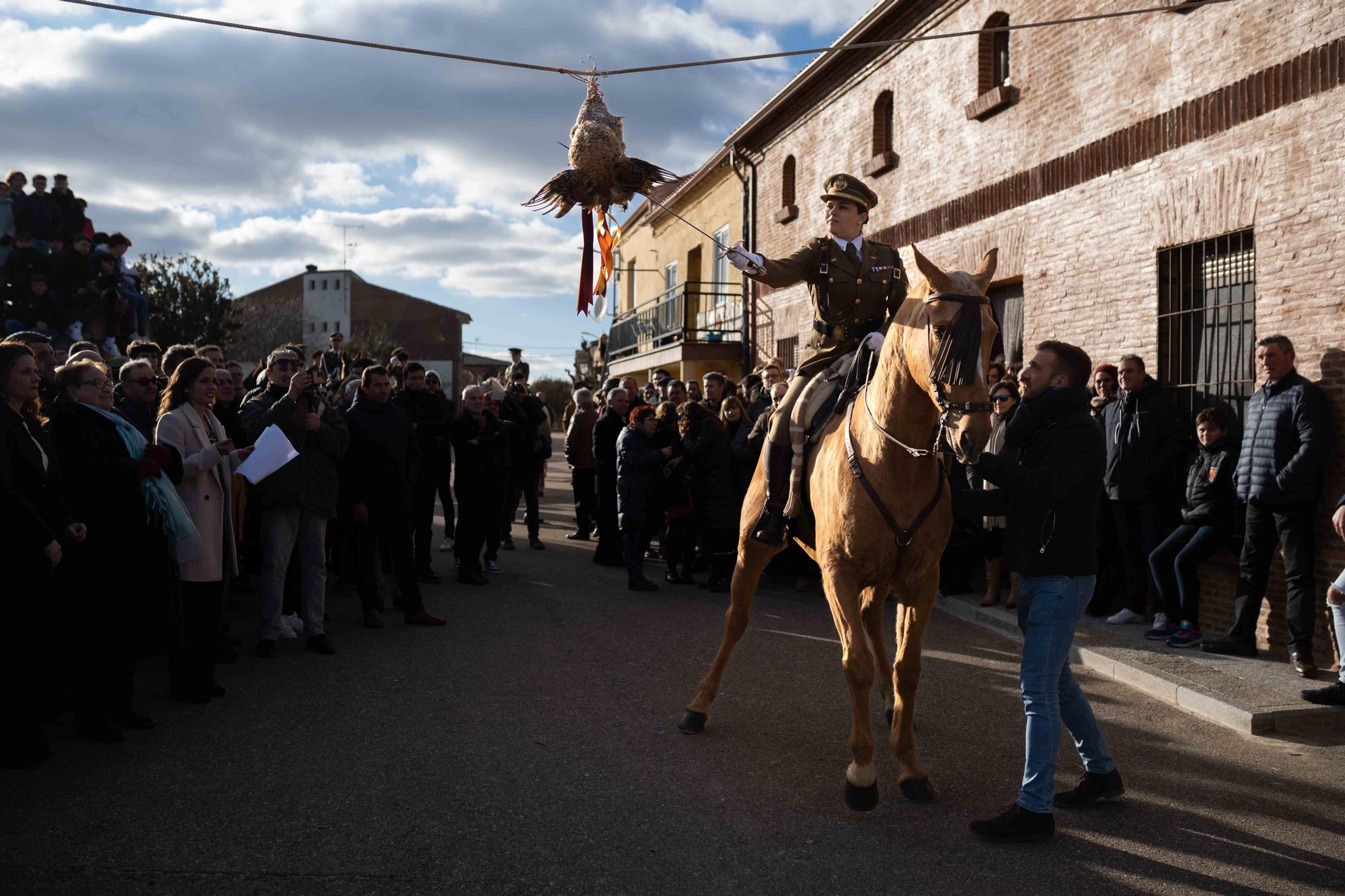 GALERÍA | La Carrera del Gallo de Guarrate, en imágenes