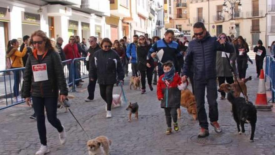 Cuarta edición del Perrocross de Segorbe