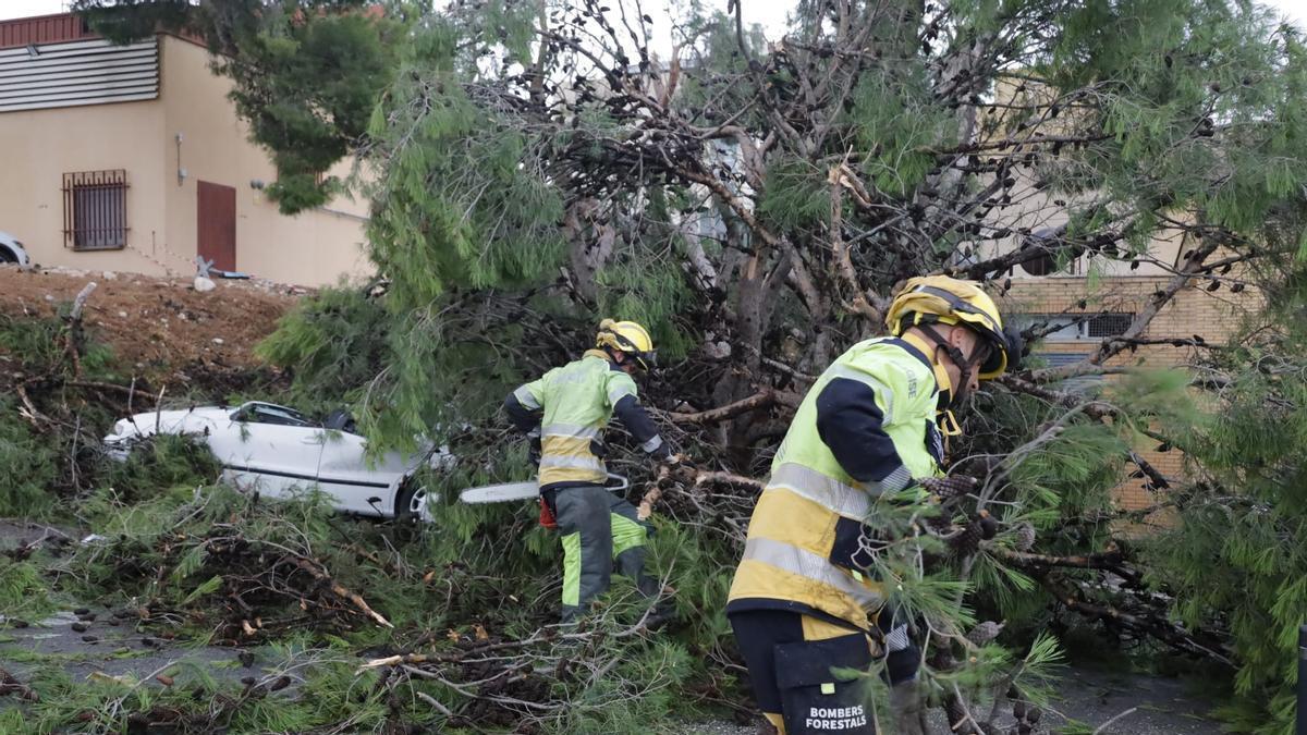 La montaña rusa del tiempo en agosto: de los 45 grados de bochorno a las lluvias en la provincia de Alicante