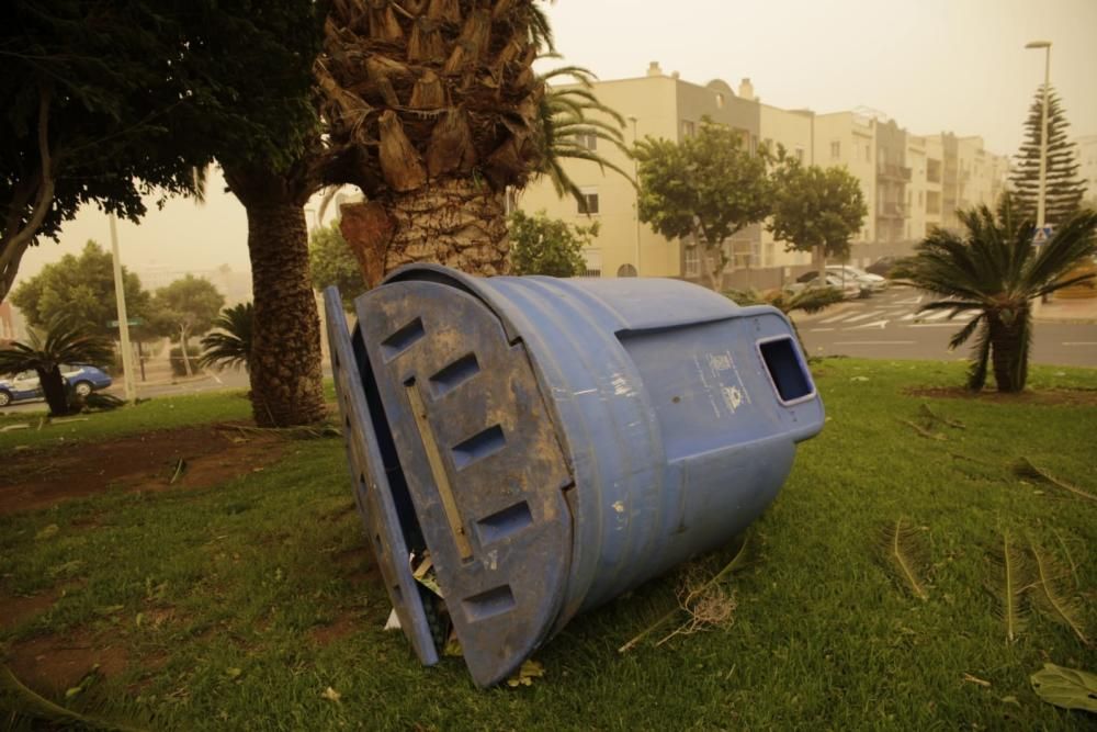 El viento y la calima causan numerosas incidencias en Tenerife.