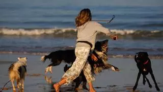 Los perros ya no podrán acceder a parte de Praia América