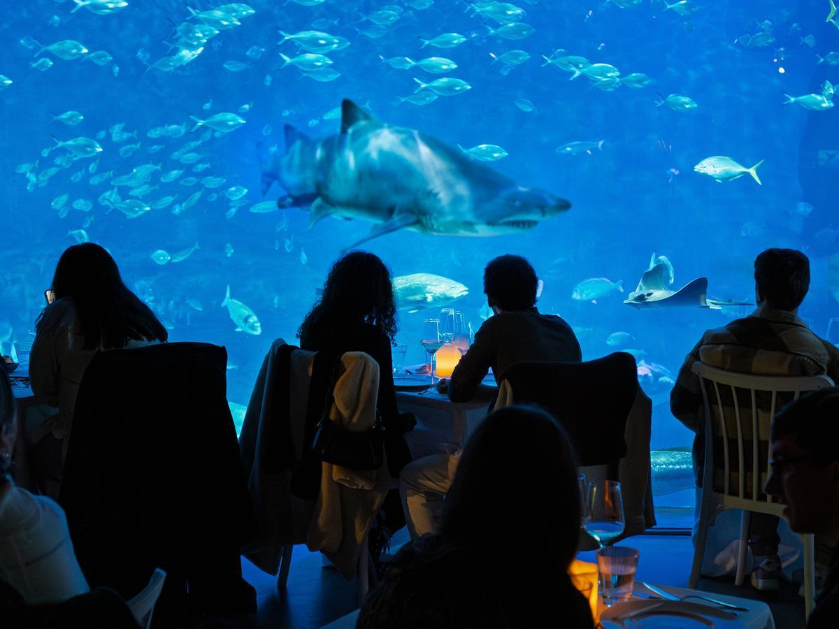 Acuario Sevilla  ofrece su cena "entreMares" especial San valentin para este fin de semana