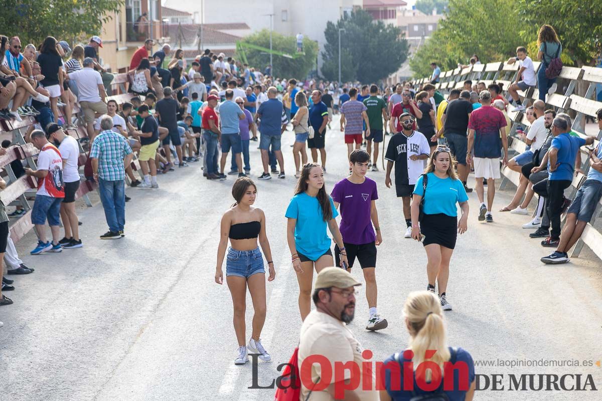 Quinto encierro de la Feria Taurina del Arroz en Calasparra