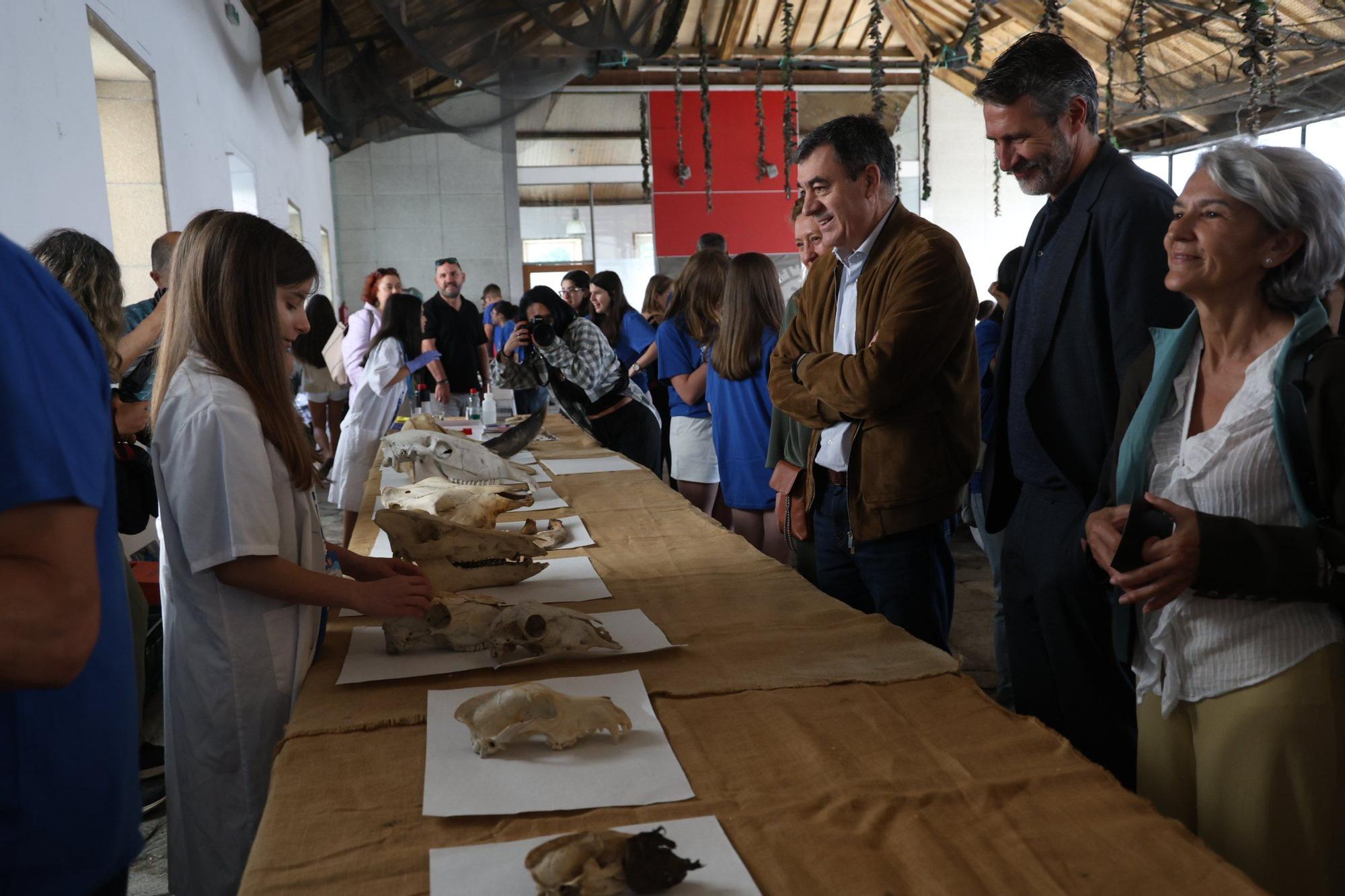 La feria Salnés Ciencia, celebrada esta mañana en la plaza de A Peixería (Vilagarcía).