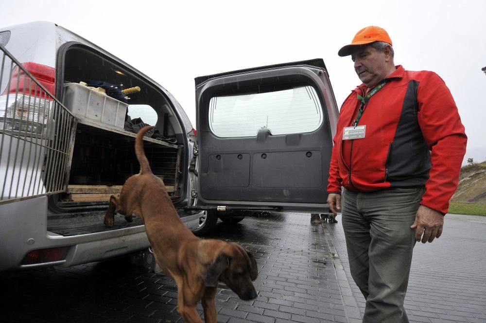 Curso de rastreo con perros de sangre