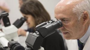 zentauroepp45347689 badalona 05 10 2018 institut de recerca contra la leucemia j181005171836