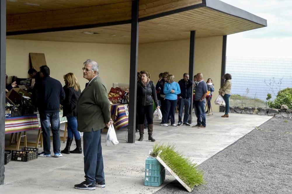 Mercado de berros a 1 euro en Ingenio