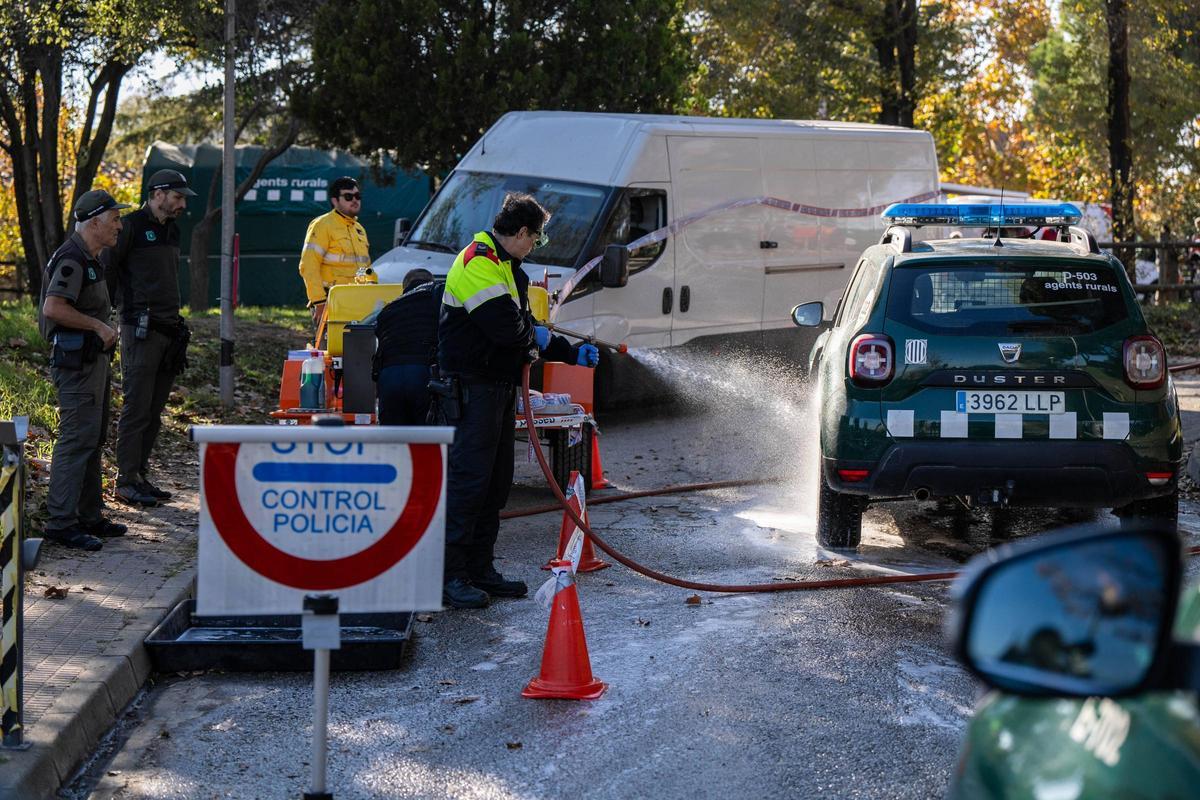 Efectivos de la UME y agentes rurales se reúnen en la zona declarada en cuarentena por la Peste Porcina Africana en Torreferrussa, antes de iniciar las tareas previstas.