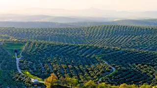 Úbeda y Baeza: patrimonio y gastronomía de Andalucía